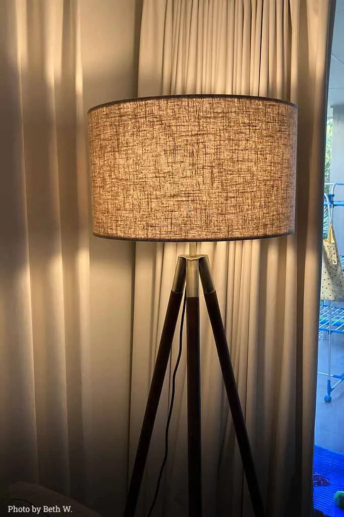 Birchwood Tripod Floor Lamp